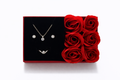 Set regalo